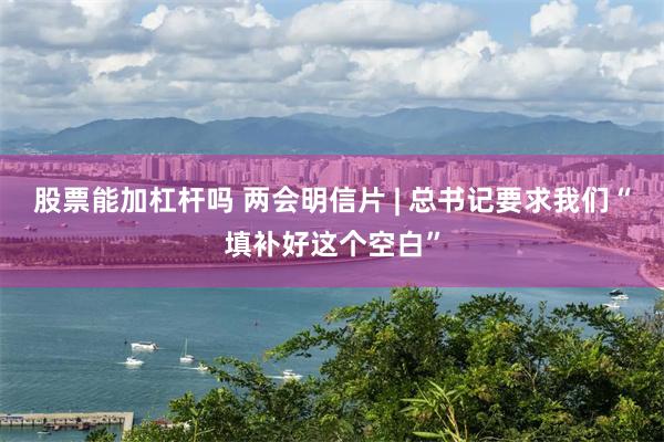 股票能加杠杆吗 两会明信片 | 总书记要求我们“填补好这个空白”