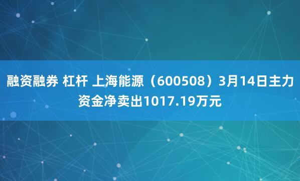 融资融券 杠杆 上海能源（600508）3月14日主力资金净卖出1017.19万元