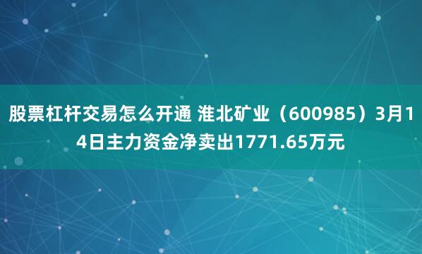 股票杠杆交易怎么开通 淮北矿业（600985）3月14日主力资金净卖出1771.65万元