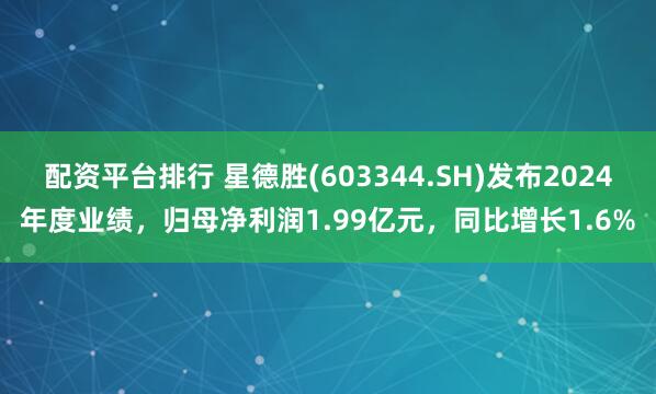 配资平台排行 星德胜(603344.SH)发布2024年度业绩，归母净利润1.99亿元，同比增长1.6%