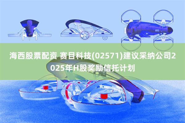 海西股票配资 赛目科技(02571)建议采纳公司2025年H股奖励信托计划