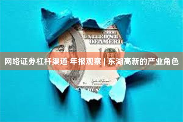 网络证劵杠杆渠道 年报观察 | 东湖高新的产业角色
