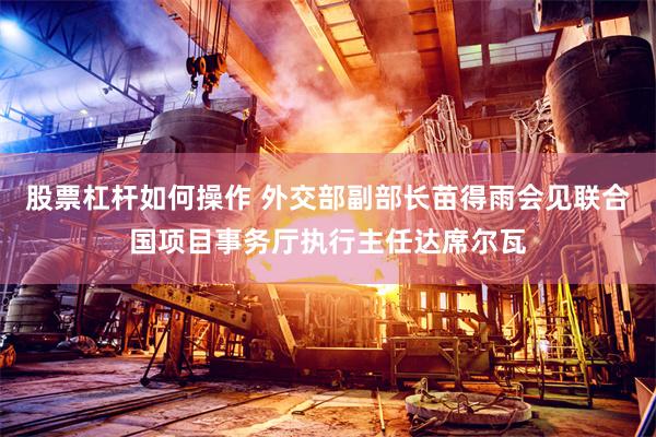 股票杠杆如何操作 外交部副部长苗得雨会见联合国项目事务厅执行主任达席尔瓦