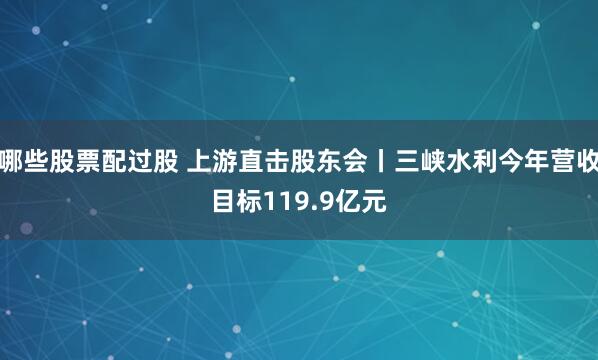 哪些股票配过股 上游直击股东会丨三峡水利今年营收目标119.9亿元