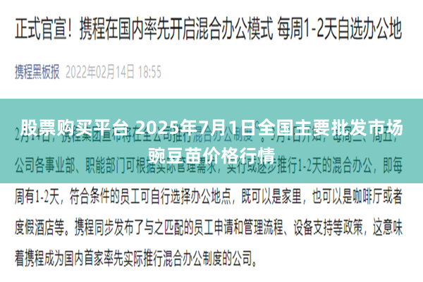 股票购买平台 2025年7月1日全国主要批发市场豌豆苗价格行情