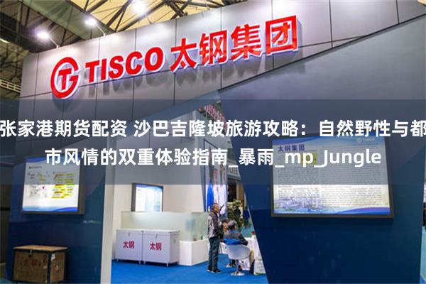 张家港期货配资 沙巴吉隆坡旅游攻略：自然野性与都市风情的双重体验指南_暴雨_mp_Jungle