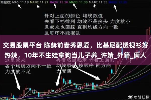 交易股票平台 陈赫前妻秀恩爱，比基尼配透视衫好热辣，10年不生娃拿狗当儿子养_许婧_外籍_俩人