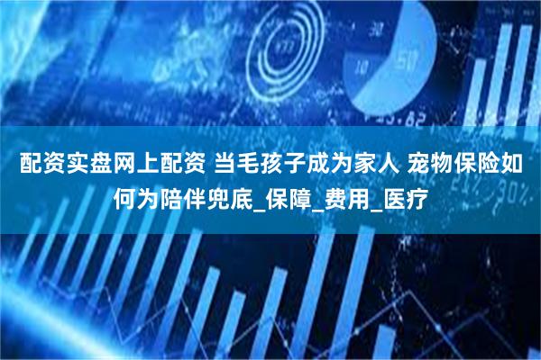 配资实盘网上配资 当毛孩子成为家人 宠物保险如何为陪伴兜底_保障_费用_医疗