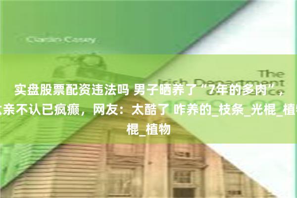 实盘股票配资违法吗 男子晒养了“7年的多肉”，六亲不认已疯癫，网友：太酷了 咋养的_枝条_光棍_植物