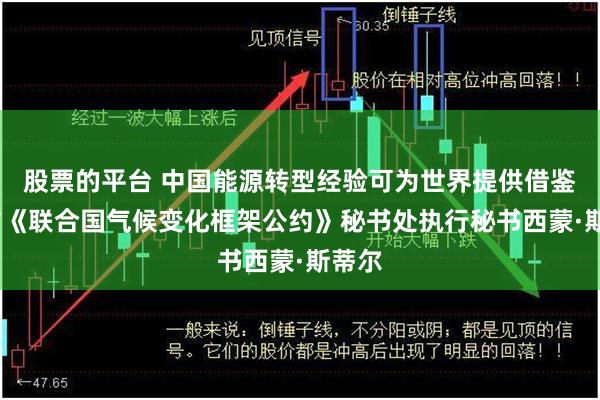 股票的平台 中国能源转型经验可为世界提供借鉴——访《联合国气候变化框架公约》秘书处执行秘书西蒙·斯蒂尔