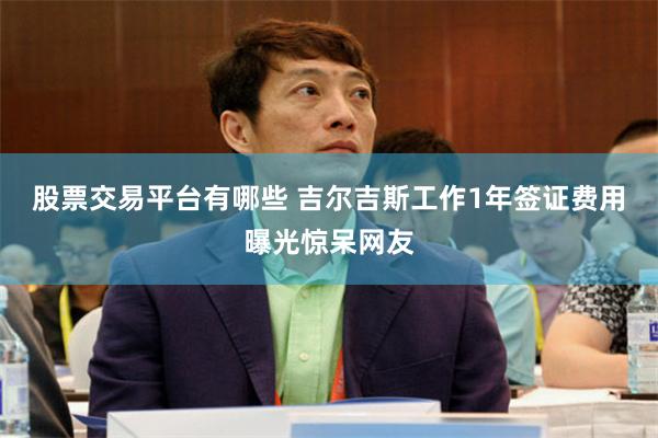 股票交易平台有哪些 吉尔吉斯工作1年签证费用曝光惊呆网友