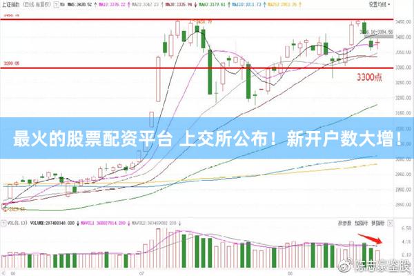 最火的股票配资平台 上交所公布!新开户数大增!