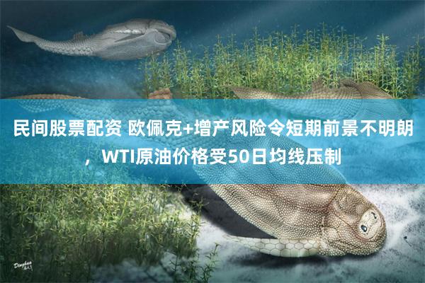 民间股票配资 欧佩克+增产风险令短期前景不明朗，WTI原油价格受50日均线压制