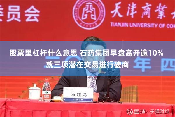 股票里杠杆什么意思 石药集团早盘高开逾10% 就三项潜在交易进行磋商
