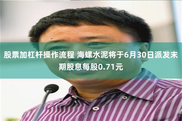 股票加杠杆操作流程 海螺水泥将于6月30日派发末期股息每股0.71元