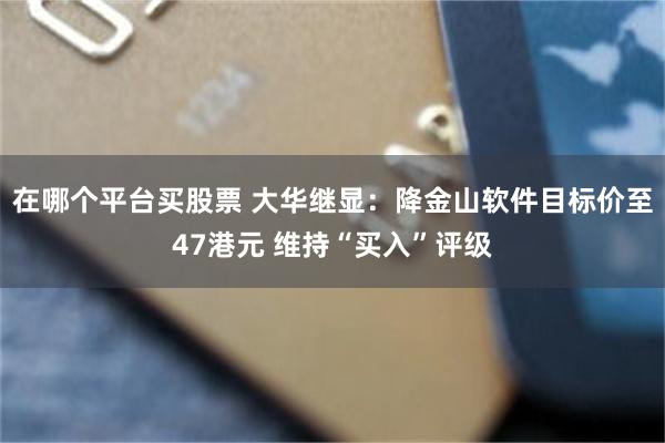 在哪个平台买股票 大华继显：降金山软件目标价至47港元 维持“买入”评级