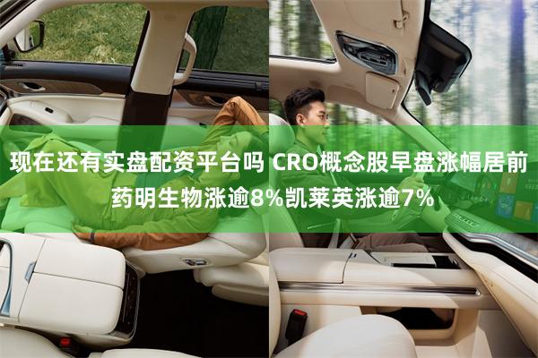 现在还有实盘配资平台吗 CRO概念股早盘涨幅居前 药明生物涨逾8%凯莱英涨逾7%