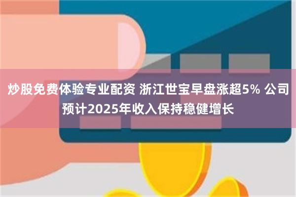 炒股免费体验专业配资 浙江世宝早盘涨超5% 公司预计2025年收入保持稳健增长