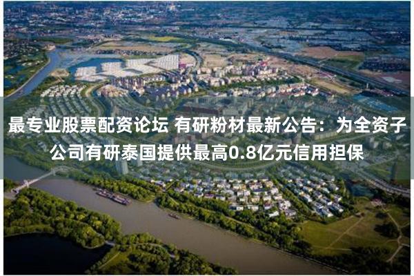 最专业股票配资论坛 有研粉材最新公告：为全资子公司有研泰国提供最高0.8亿元信用担保