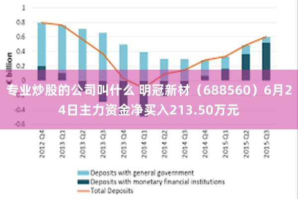 专业炒股的公司叫什么 明冠新材（688560）6月24日主力资金净买入213.50万元