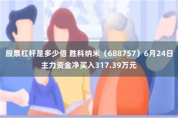 股票杠杆是多少倍 胜科纳米（688757）6月24日主力资金净买入317.39万元