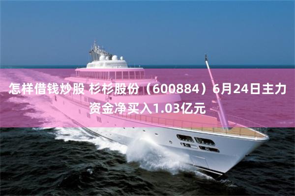 怎样借钱炒股 杉杉股份（600884）6月24日主力资金净买入1.03亿元