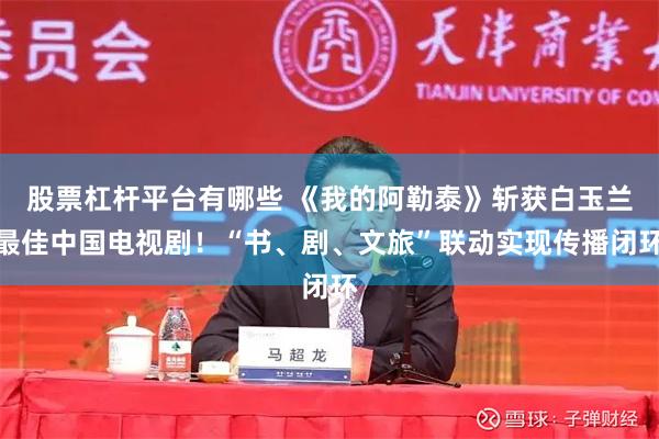 股票杠杆平台有哪些 《我的阿勒泰》斩获白玉兰最佳中国电视剧!“书、剧、文旅”联动实现传播闭环