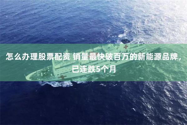 怎么办理股票配资 销量最快破百万的新能源品牌，已连跌5个月