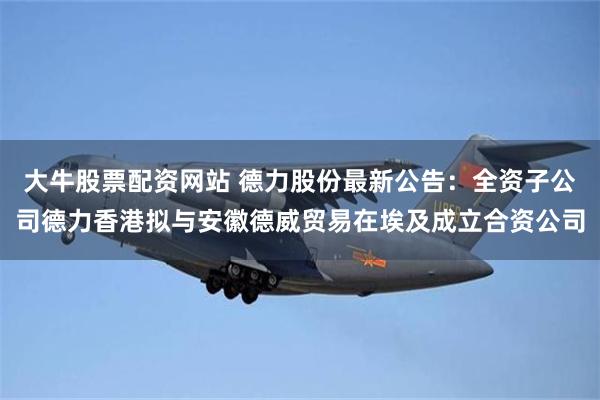 大牛股票配资网站 德力股份最新公告：全资子公司德力香港拟与安徽德威贸易在埃及成立合资公司