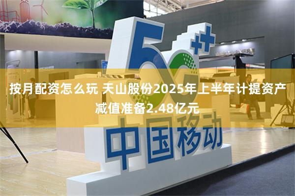 按月配资怎么玩 天山股份2025年上半年计提资产减值准备2.48亿元