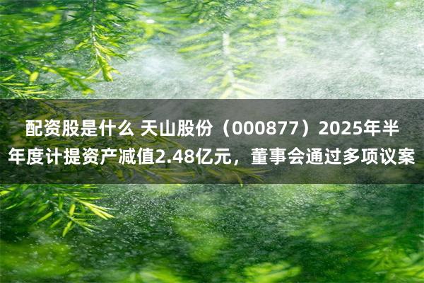 配资股是什么 天山股份（000877）2025年半年度计提资产减值2.48亿元，董事会通过多项议案