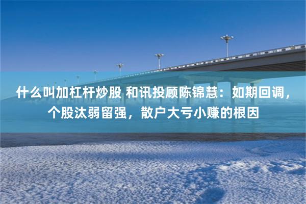 什么叫加杠杆炒股 和讯投顾陈锦慧：如期回调，个股汰弱留强，散户大亏小赚的根因