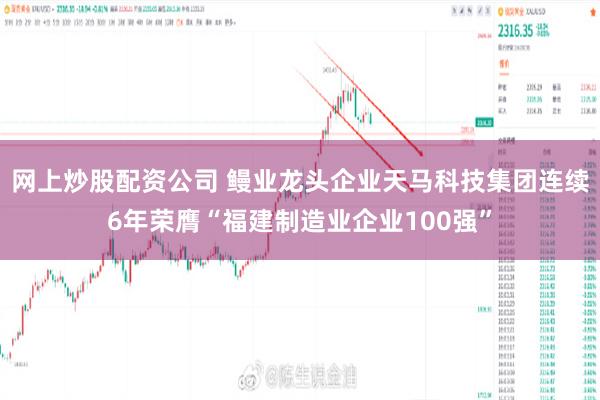 网上炒股配资公司 鳗业龙头企业天马科技集团连续6年荣膺“福建制造业企业100强”