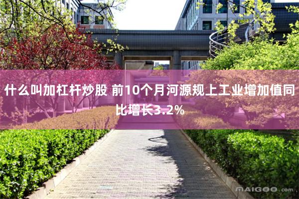 什么叫加杠杆炒股 前10个月河源规上工业增加值同比增长3.2%