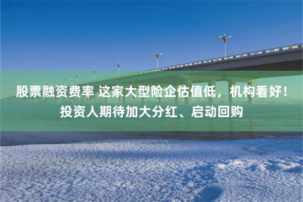 股票融资费率 这家大型险企估值低,机构看好!投资人期待加大分红、启动回购