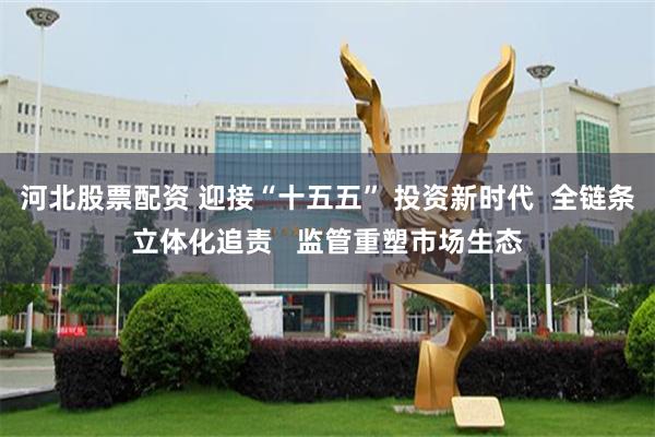 河北股票配资 迎接“十五五” 投资新时代  全链条立体化追责   监管重塑市场生态