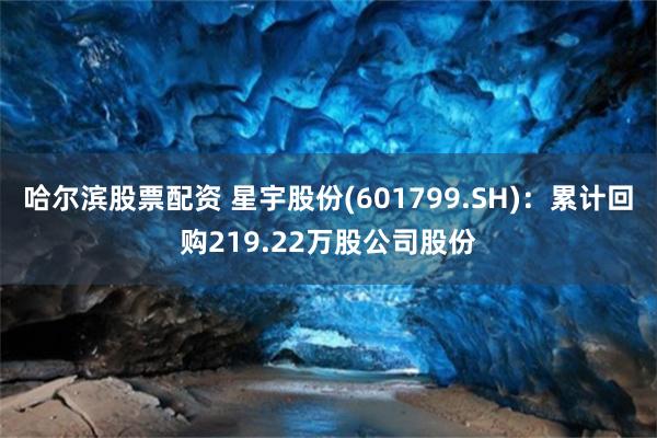哈尔滨股票配资 星宇股份(601799.SH)：累计回购219.22万股公司股份