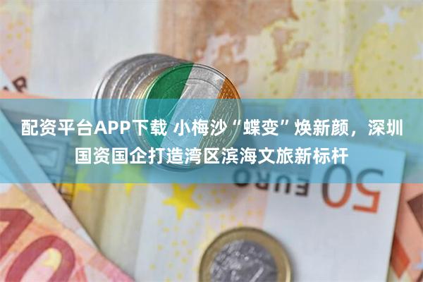 配资平台APP下载 小梅沙“蝶变”焕新颜,深圳国资国企打造湾区滨海文旅新标杆