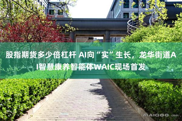 股指期货多少倍杠杆 AI向“实”生长，龙华街道AI智慧康养智能体WAIC现场首发