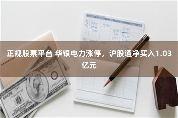 正规股票平台 华银电力涨停，沪股通净买入1.03亿元