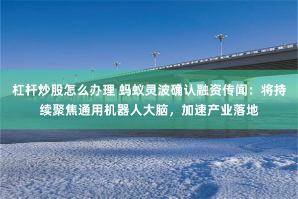 杠杆炒股怎么办理 蚂蚁灵波确认融资传闻：将持续聚焦通用机器人大脑，加速产业落地