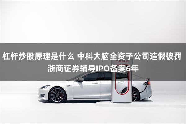 杠杆炒股原理是什么 中科大脑全资子公司造假被罚 浙商证券辅导IPO备案6年