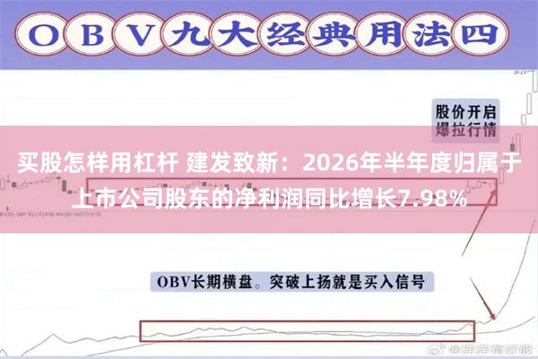 买股怎样用杠杆 建发致新：2026年半年度归属于上市公司股东的净利润同比增长7.98%