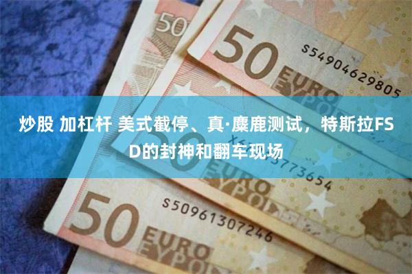炒股 加杠杆 美式截停、真·麋鹿测试，特斯拉FSD的封神和翻车现场