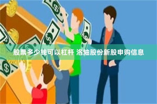 股票多少钱可以杠杆 洛轴股份新股申购信息